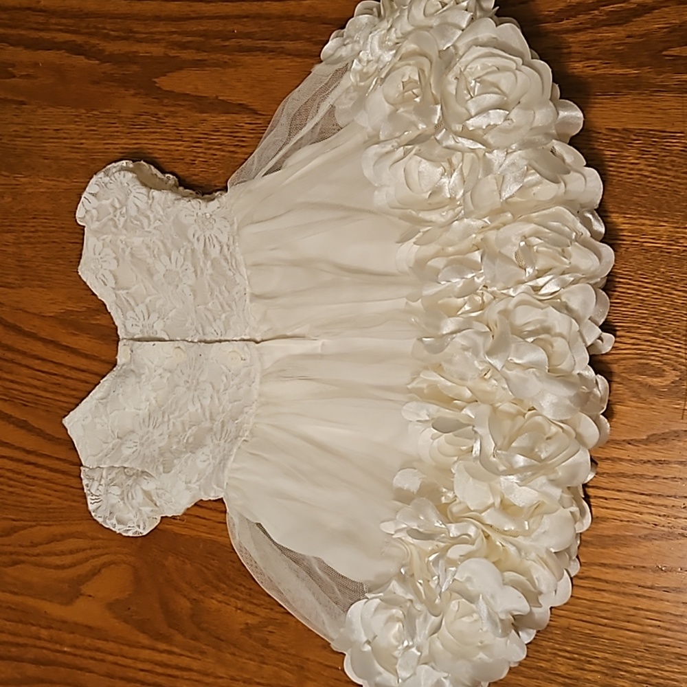 Baby Satin Roses Dress - Picture 7 of 7